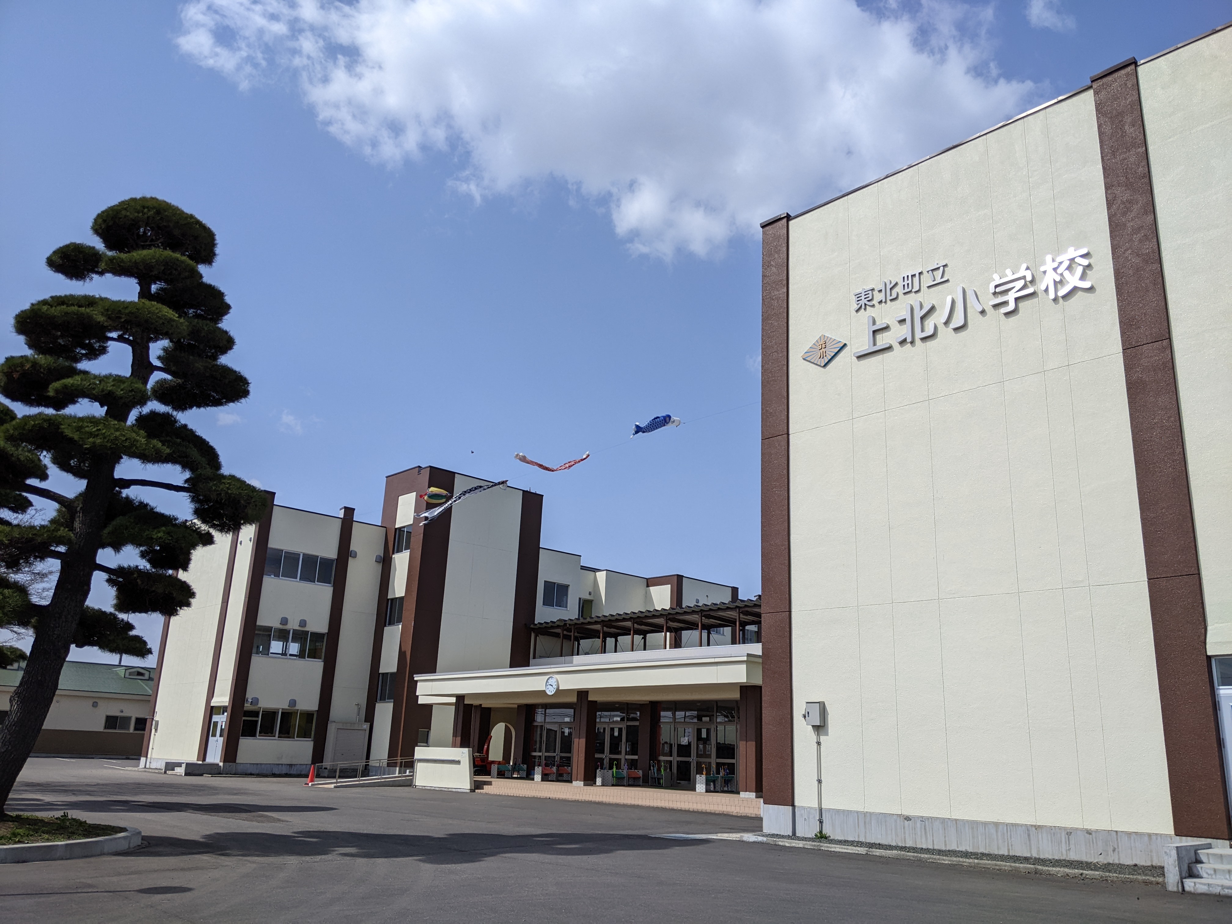 青のきらめき県民運動の取組