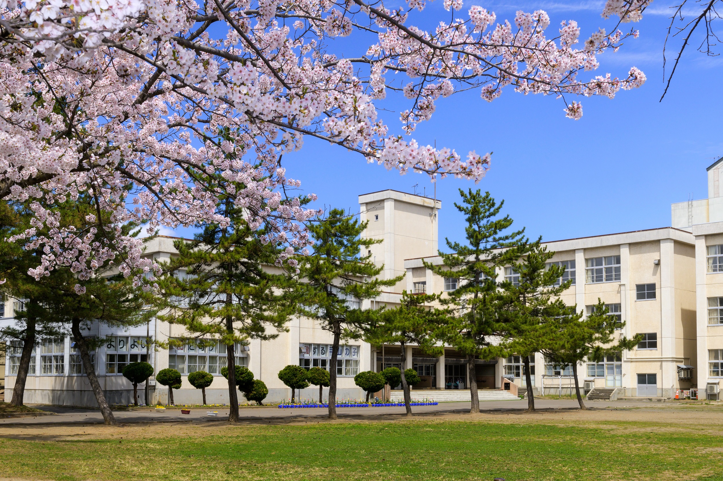 青のきらめき県民運動の取組